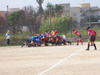 thumb_100_0254.jpg
